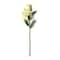 12 Pack: White Casablanca Lily Stem by Ashland®